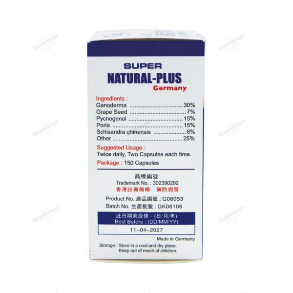 Myda-B Lepo-Brain, 150 capsules - Image 2