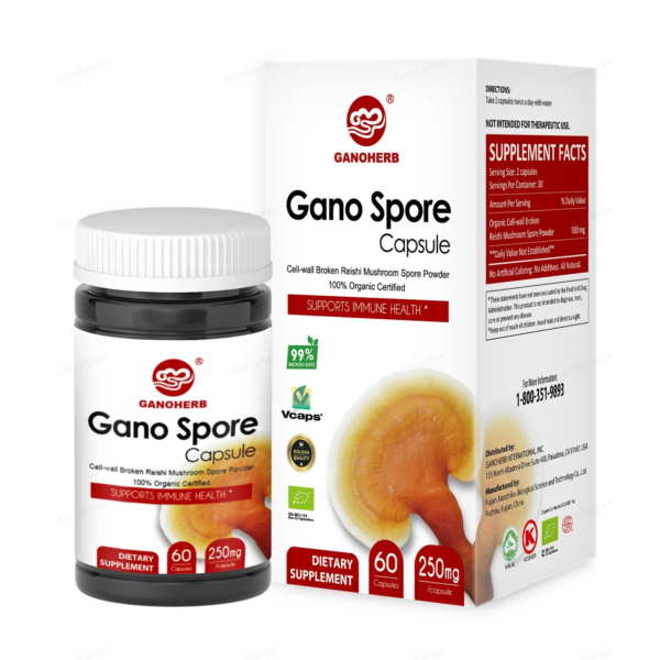 Reishi Mushroom Spore Capsule - Image 2
