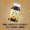 Cordyceps Militaris Extract Capsule - Image 3