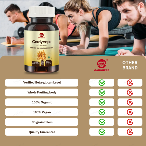 Cordyceps Militaris Extract Capsule - Image 5