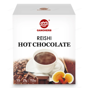 Reishi Mushroom Hot Chocolate